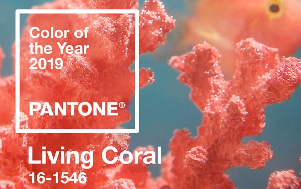 Yılın Rengi: Canlı Mercan