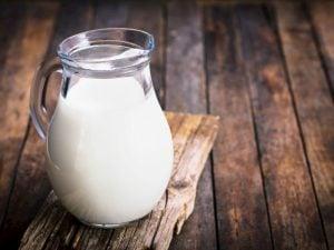 Laktozsuz Sütün Kullanım Alanları